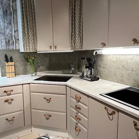 Apartment Paritalohuoneisto Omalla Pihalla Riihimaki